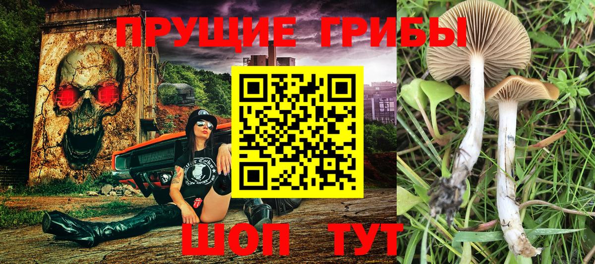 Псилоцибиновые грибы Magic Shrooms Аргун